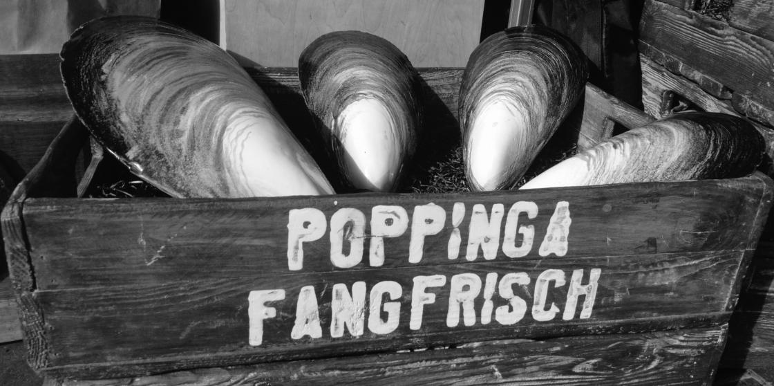 Poppinga Fangfrisch