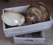 Keramik Islandmuschelschale Bildhauer Bjrn Poppinga